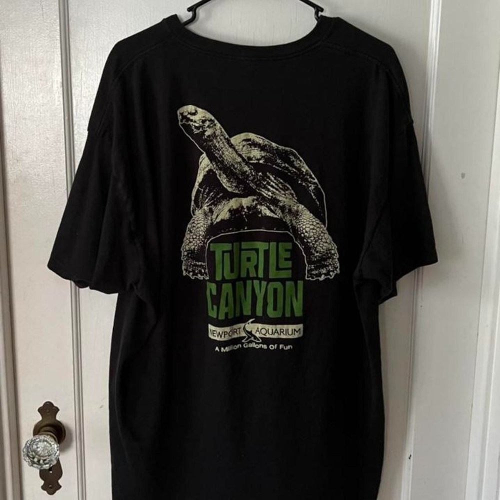 Cool Turtle Graphic Tee